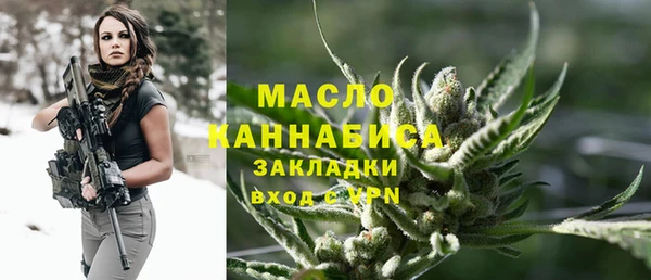 твердый Арсеньев