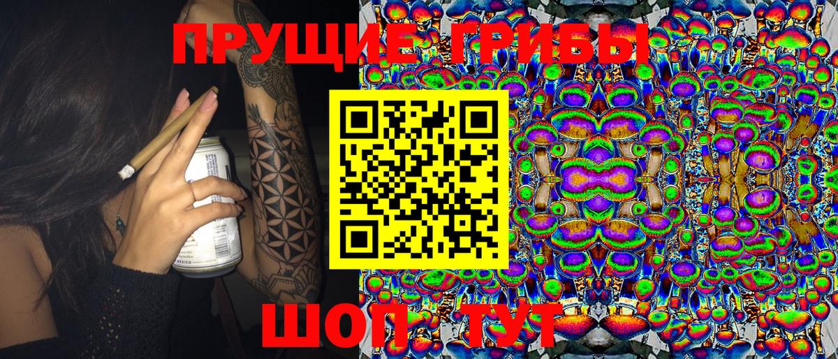 Галлюциногенные грибы мухоморы Мурманск